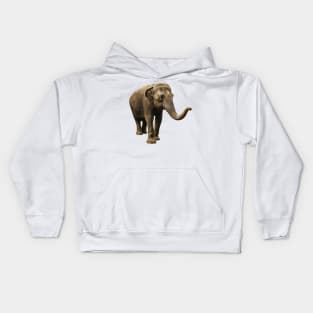 Indian Elephant Kids Hoodie